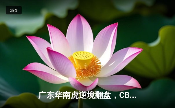 广东华南虎逆境翻盘，CBA总决赛首战险胜辽宁飞豹 - 3