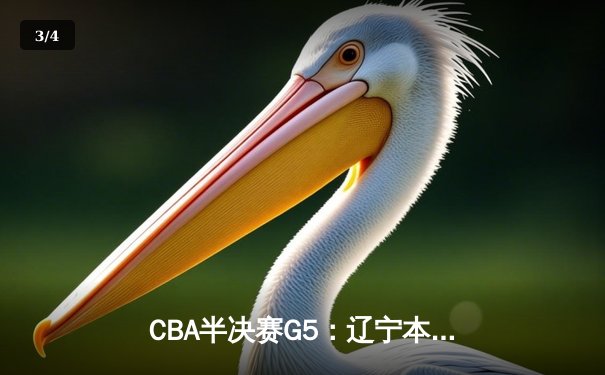CBA半决赛G5：辽宁本钢加时逆转广东宏远 赵继伟33+8+5率队挺进总决赛 - 3